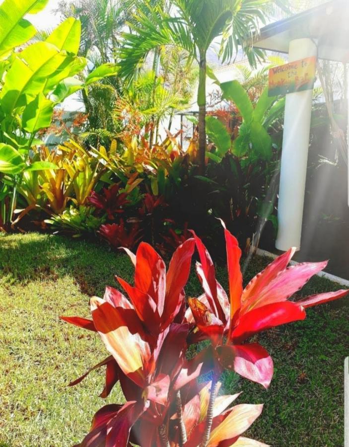 La Selvita Bajamar  Luaran gambar